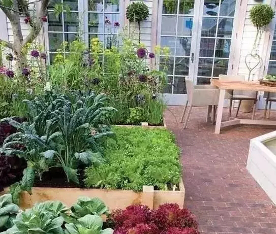 成都别墅花园设计蔬菜花园