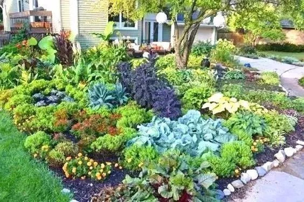 成都蔬菜花园设计既美观又实用