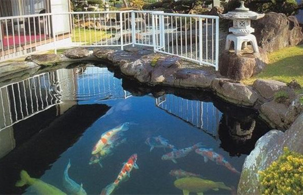 成都私家花园设计中观赏鱼池的清洁方法