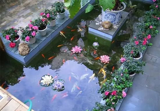 带水的私家小花园-成都私家花园设计 带水的私家小花园-成都私家花园设计